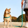 Vest-Style Dog Harness for Small to Medium Dogs