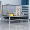 Metal Dog Crate with Removable Tray and Locking Casters
