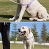 Wraparound Dog Harness