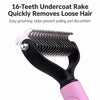 Double-Sided Detangling Comb for Cats & Dogs