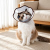 Plastic Recovery Cone for Dogs