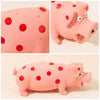 Squeaky Pig Toy for Dogs