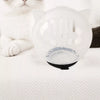 Transparent Cat Recovery Cone