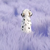 Wraparound Dog Harness