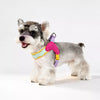 Y-Style Dog Harness and Leash Set for Small Dogs