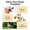 Corn-Shaped TPR Dog Chew Toy