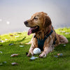 Floating Foam Fetch Toy Ball for Dogs and Cats