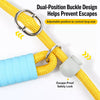 Polyester Dog Slip Lead for Training