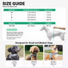 Nylon Vest-Style Dog Harness with Integrated Leash