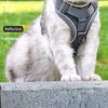 Reflective Nylon Cat Harness and Leash