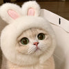 Novelty Pet Costume Hats for Cats and Dogs