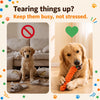 Interactive Rope Dog Toy for Small and Medium Dogs