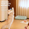 Retractable Cat Teaser Wand with Replaceable Toy Head