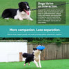 Dog Training Flying Disc Toy