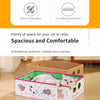Cardboard Cat Scratcher and Bed