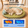 Round Woven Cat Bed with Removable Washable Mat