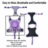 All-in-One Pet Harness and Leash Vest