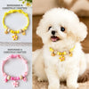 Adjustable Pet Collar for Cats and Small Dogs