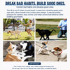Dog Slip Lead for Everyday Walks and Training