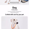Integrated Dog Collar and Leash with Control Handle