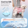 Portable Shoulder Pet Carrier Bag for Small Dogs and Cats