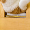 Cat Teaser Wand with Feather and Bell