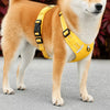 Dog Harness and Leash