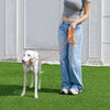 Integrated Dog Collar and Leash with Control Handle