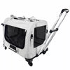 Foldable Pet Carrier for Cats and Dogs