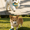 Nylon Dog Tug Rope Toy
