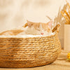 Woven Rattan Cat Bed for Cats and Small Dogs