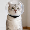 Transparent Cat Recovery Cone