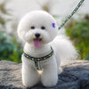 Small Dog Vest Harness for Walks