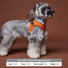 Adjustable Magnetic Vest Harness for Small Dogs