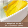 Dog Potty Training Tray with Reinforced Grid