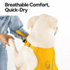 Lightweight Pet Harness and Leash Set