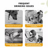 Portable Dog Water Bottle for Walks, Travel, and Outdoor Use