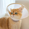 Lightweight Recovery Cone for Dogs and Cats