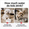 Floating Water Bowl for Dogs & Cats
