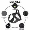 Lightweight Adjustable Vest-Style Dog Harness with Leash