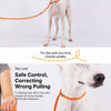 Integrated Dog Collar and Leash with Control Handle