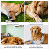 Dog Front-Leg Covering Garment