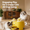 Interactive Electric Whack-a-Mole Cat Toy with Feather Teaser