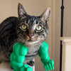 3D-Printed Arm & Hand Pet Collar Charm for Dogs & Cats