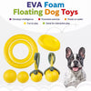 Interactive Dog Toys for Fetch, Tug and Training Play