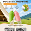 Foldable Pet Water Bottle for Dog Walks