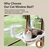 Transparent Capsule Cat Window Bed