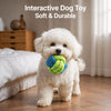 Dog Squeaky Chew Toy Set for Play and Solo Entertainment