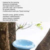Fafa Ceramic Food & Water Bowl for Dogs and Cats