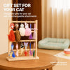 Retractable Cat Teaser Wand with Replaceable Toy Head